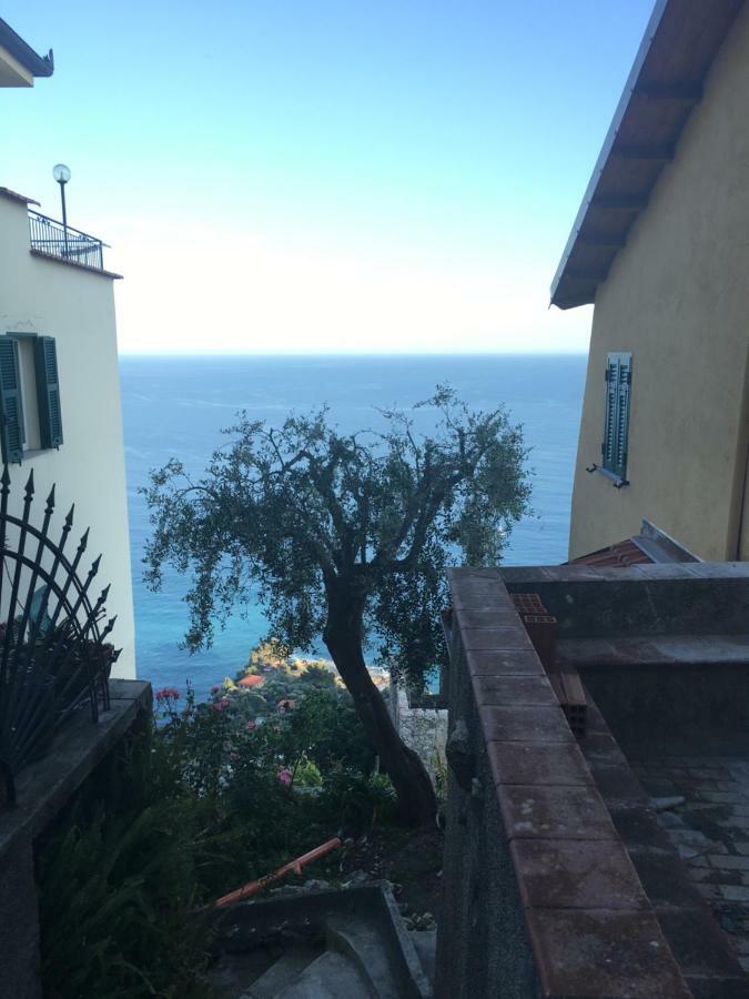 House In Grimaldi. Spectacular View Over The French Riviera! Grimaldi  Bagian luar foto